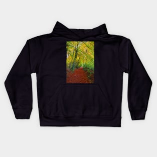 Autumnal Westridge Woods, Cotswolds Kids Hoodie